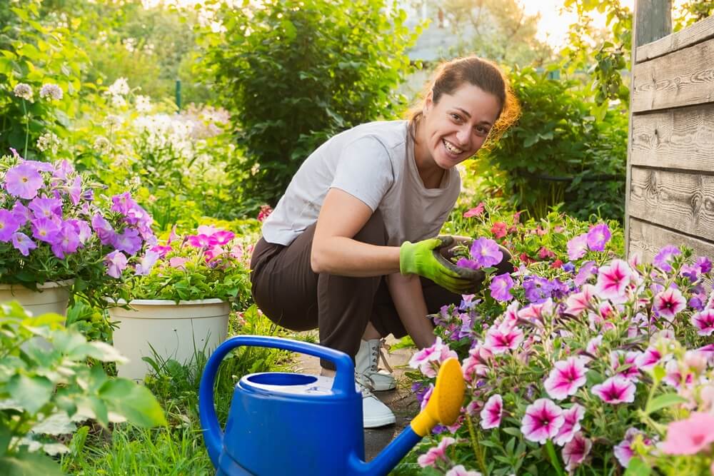 Beginner Gardening Tips